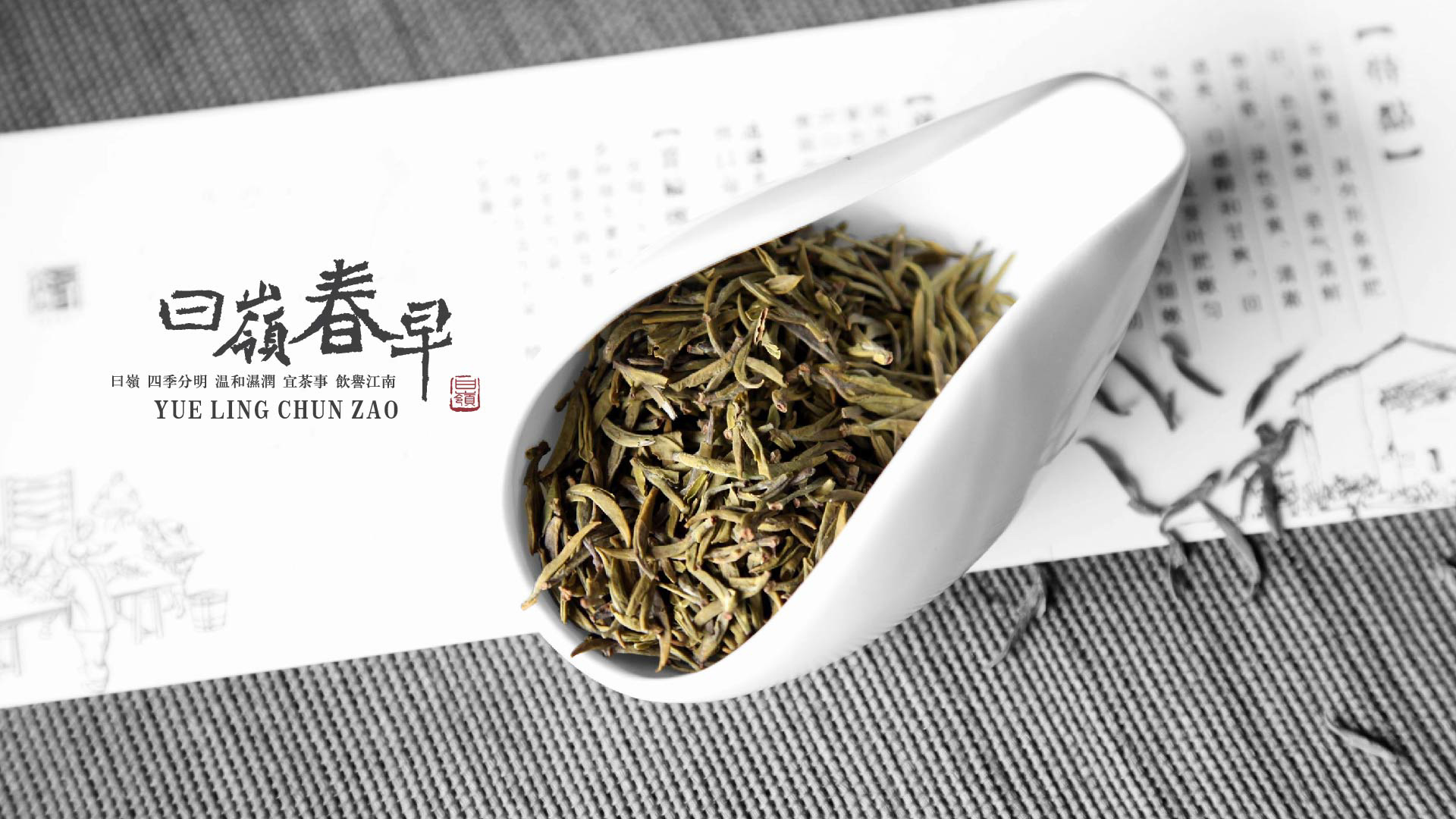 曰嶺春早_画板 1.jpg